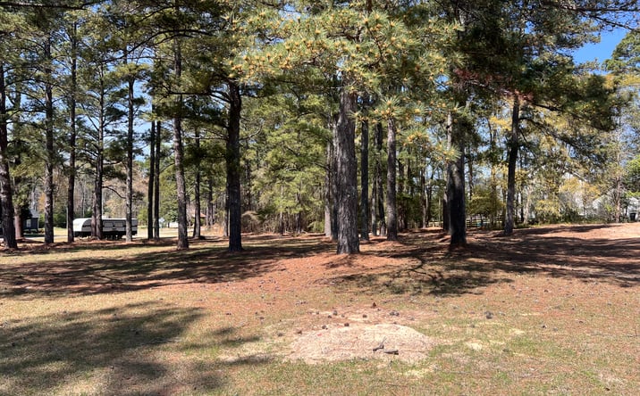 Pictures of Land property located at Murdocksville Rd, West End, NC 27376 for sales - image #1