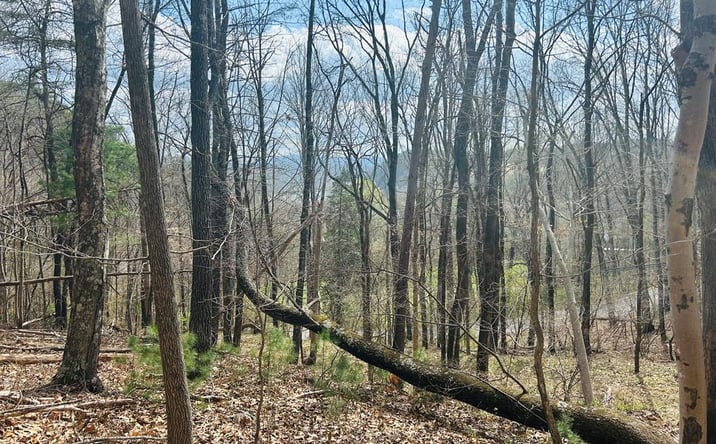 Pictures of Land, Multifamily property located at TBD Lot 118 Julia Simpkins Rd, Hiwassee, VA 24347 for sales - image #1