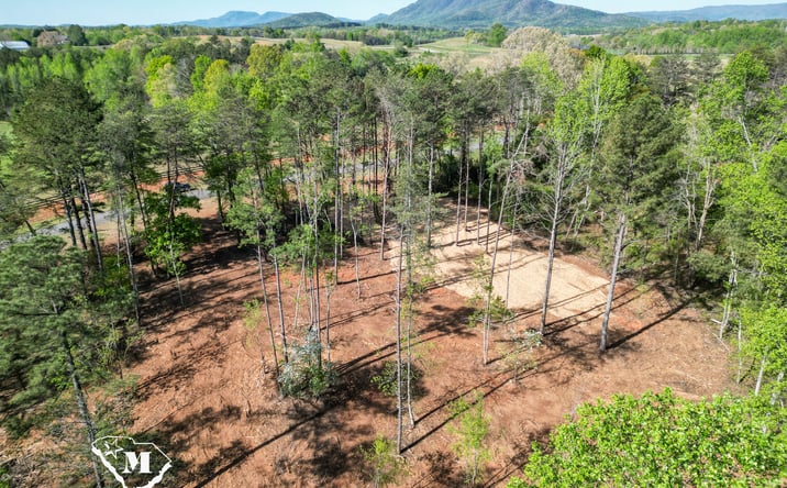 Pictures of Land property located at High Meadows Drive, Mill Spring, NC 28756 for sales - image #1