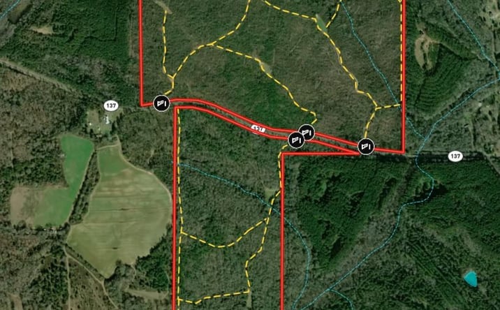 Pictures of Land property located at 337+/- ac Hwy 137, Buena Vista, GA 31803 for sales - image #1