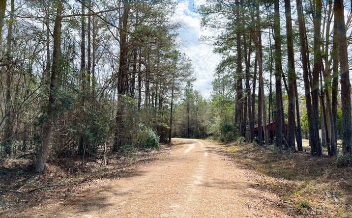 Pictures of Land property located at FM 1746, Spurger, TX 77660 for sales - image #1