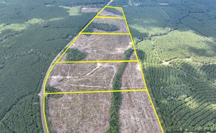 Pictures of Land property located at FM 92, Spurger, TX 77660 for sales - image #1