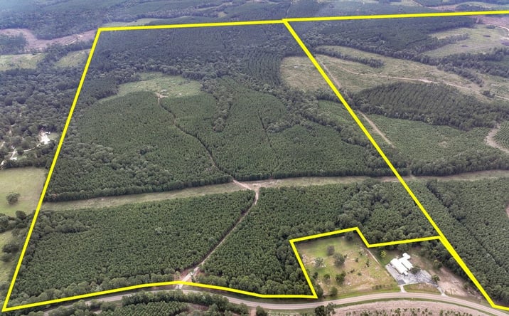 Pictures of Land property located at FM 1987, Corrigan, TX 77351 for sales - image #1