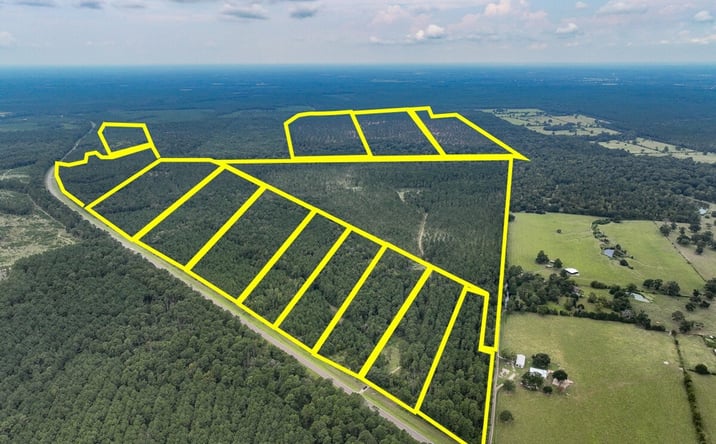 Pictures of Land property located at Highway 94, Groveton, TX 75845 for sales - image #1