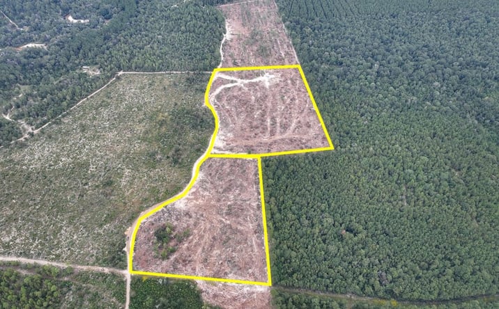 Pictures of Land property located at Access Easement off FM 1416, Trout Creek, TX 75933 for sales - image #1