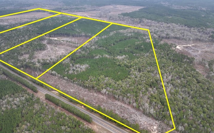 Pictures of Land property located at Highway 190, Newton, TX 75966 for sales - image #1