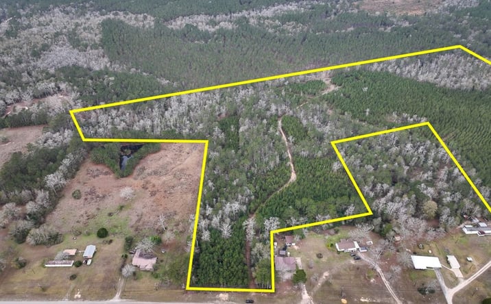 Pictures of Land property located at Highway 87, Newton, TX 75966 for sales - image #1