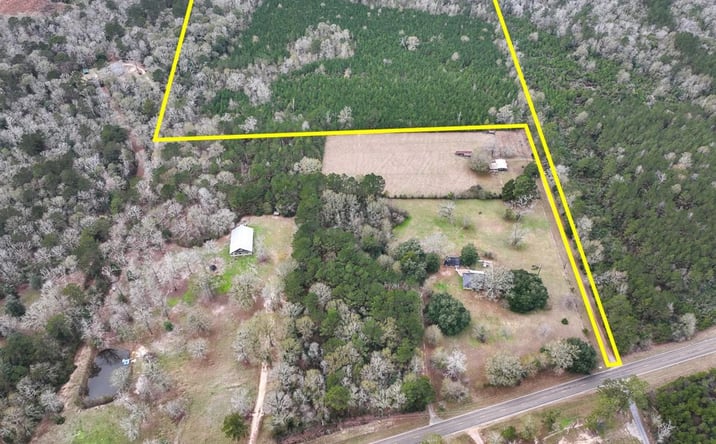 Pictures of Land property located at FM 252, Kirbyville, TX 75956 for sales - image #1
