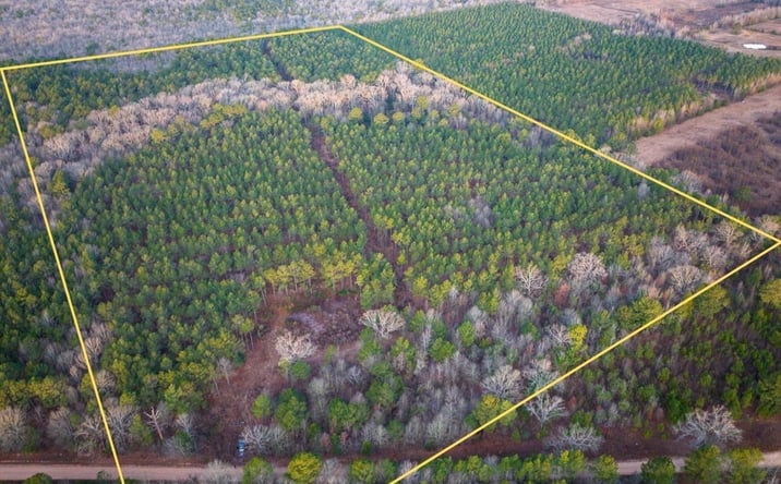 Pictures of Land property located at County Road 4320, De Kalb, TX 75559 for sales - image #1