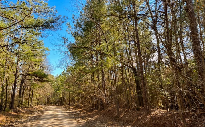 Pictures of Land property located at Union Springs Rd. Easement, Corrigan, TX 77352 for sales - image #1