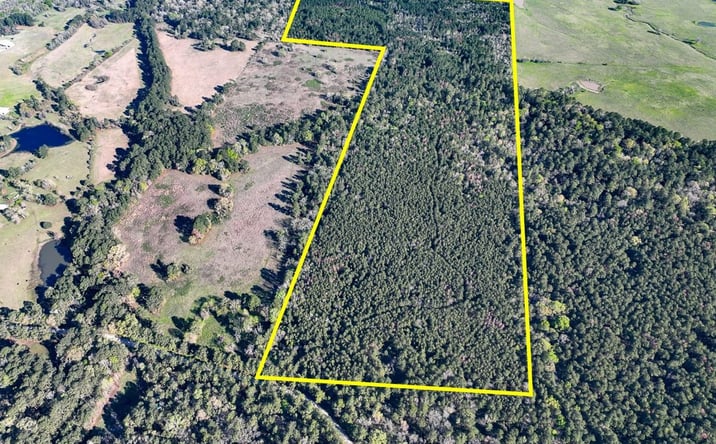 Pictures of Land property located at Bishop Road, Huntsville, TX 77320 for sales - image #1