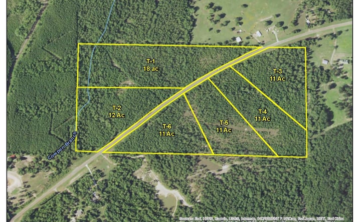 Pictures of Land property located at Rec Road 255, Colmesneil, TX 75938 for sales - image #1