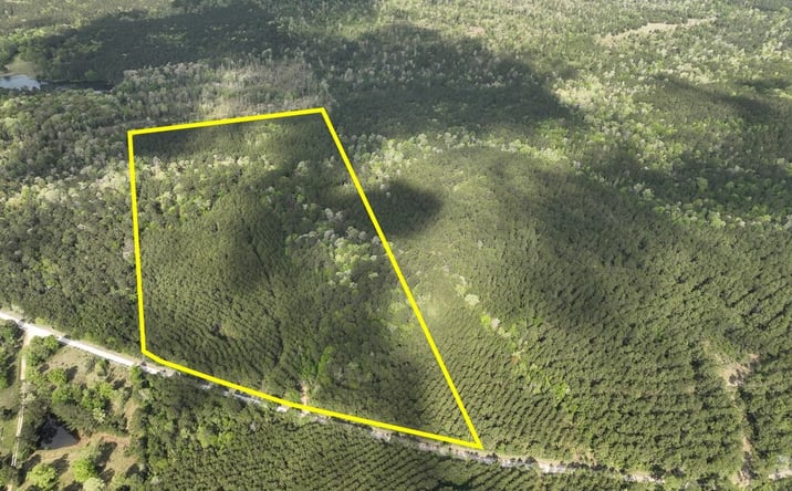 Pictures of Land property located at CR 4280, Woodville, TX 75979 for sales - image #1