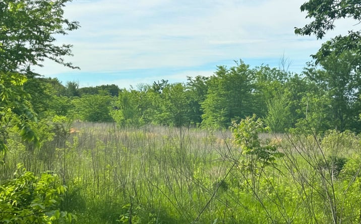 Pictures of Mixed Use, Land property located at 441 S 1st St, Point, TX 75472 for sales - image #1