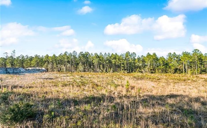 Pictures of Land property located at North Ln, Mandeville, LA 70448 for sales - image #1