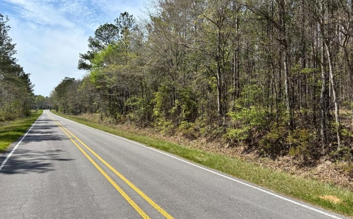 Pictures of Land property located at 001 Cr 610, Shubuta, MS 39360 for sales - image #1