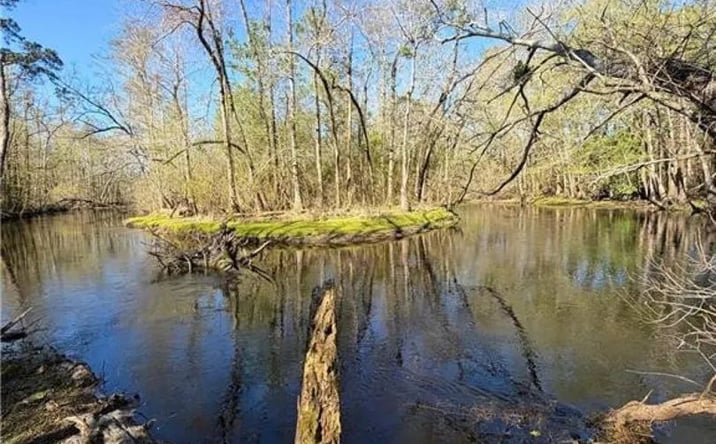 Pictures of Land property located at 00 Clark Road, 92683, NC 28364 for sales - image #1