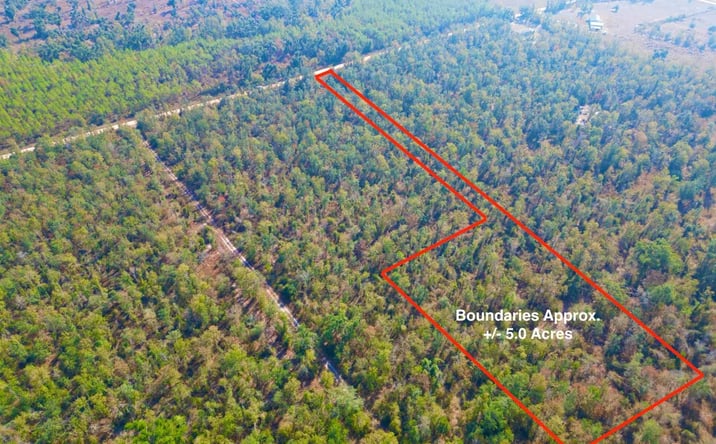 Pictures of Land property located at TBD SE Kachina Avenue, Lee, FL 32059 for sales - image #1