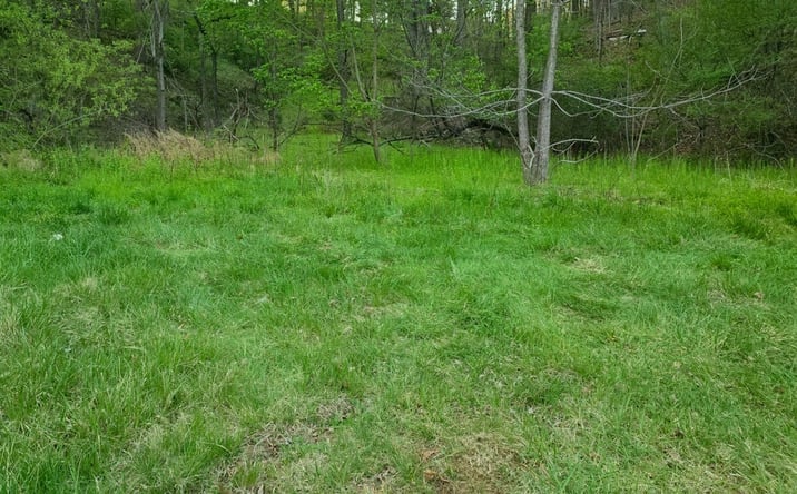 Pictures of Land property located at 6993 Franklin Rd, Boones Mill, VA 24065 for sales - image #1