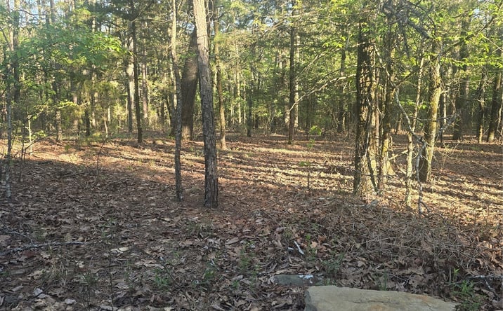 Pictures of Land property located at 43 Buck Creek, Moyers, OK 74523 for sales - image #1