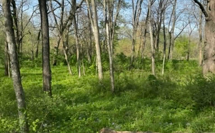Pictures of Land property located at 0 120th Ave, Grand River, IA 50108 for sales - image #1