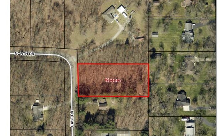 Pictures of Land property located at East Drive, DeMotte, IN 46310 for sales - image #1