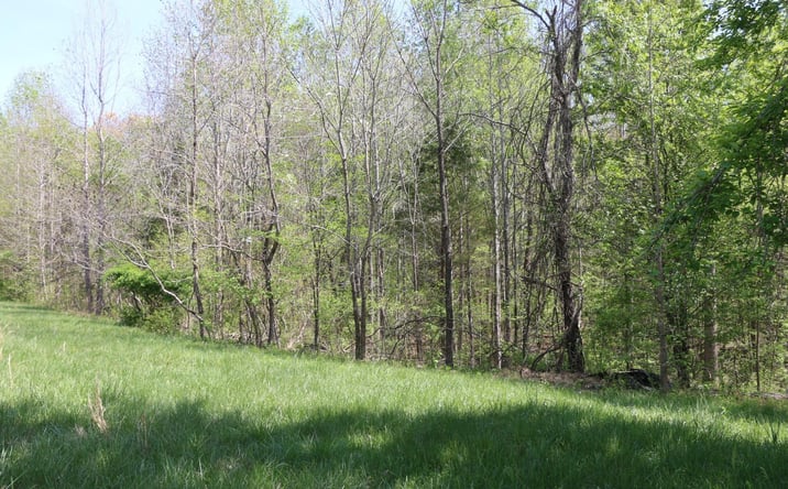 Pictures of Land property located at 820 New Rd, Clarksville, TN 37040 for sales - image #1