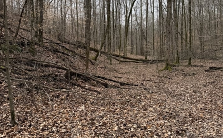 Pictures of Land property located at 0 Highway Coxburg Rd S, Holladay, TN 38341 for sales - image #1