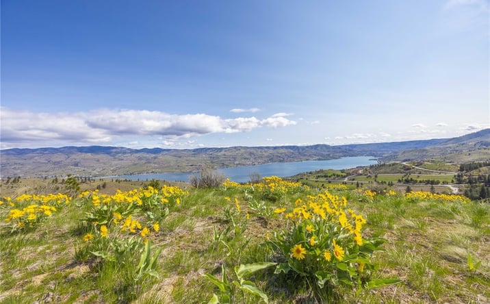 Pictures of Land property located at 1 Bear Mountain Rd, Chelan, WA 98816 for sales - image #1