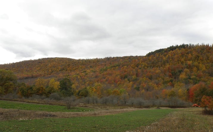 Pictures of Land property located at Gregory Hollow Road, Hamden, NY 13782 for sales - image #1