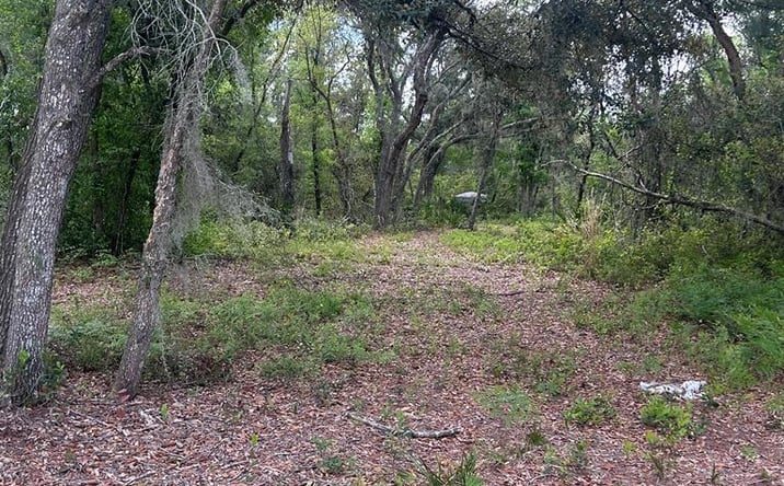 Pictures of Land property located at Jody Morgan Rd, Perry, FL 32348 for sales - image #1