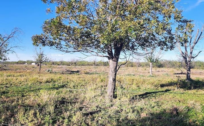 Pictures of Land property located at 201 Orchard Lane, Mertzon, TX 76941 for sales - image #1