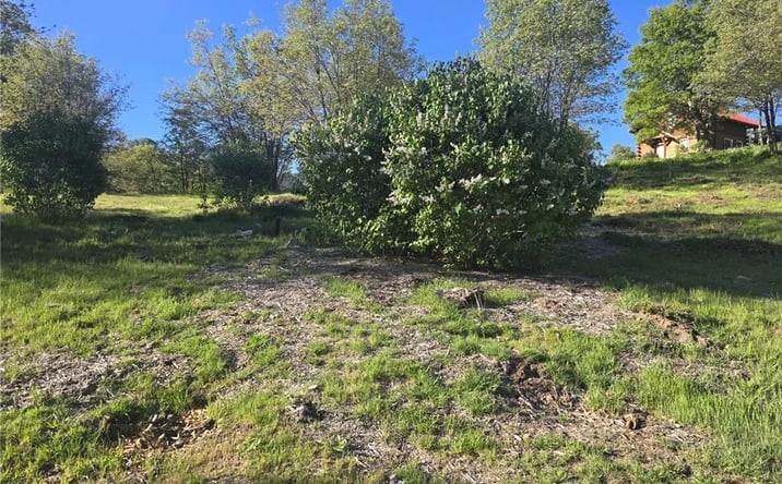 Pictures of Land property located at 29783 Redwood, Cedar Glen, CA 92321 for sales - image #1