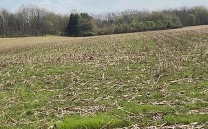 Pictures of Land property located at 0 E US Highway E, Circleville, OH 43113 for sales - image #1