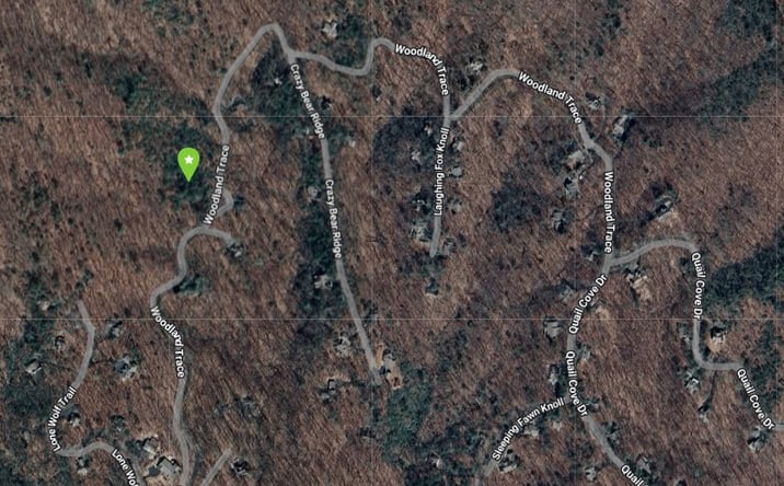 Pictures of Land property located at 615 Woodland Trace, Dawsonville, GA 30534 for sales - image #1