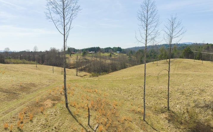 Pictures of Land property located at TBD Carsonville Rd, Independence, VA 24348 for sales - image #1