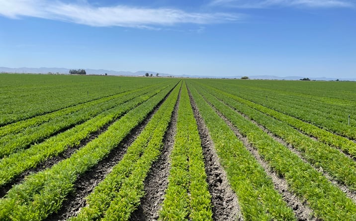Pictures of Land property located at W. side of Midway Rd., S. of Henry Miller Rd., Los Banos, CA 93635 for sales - image #1