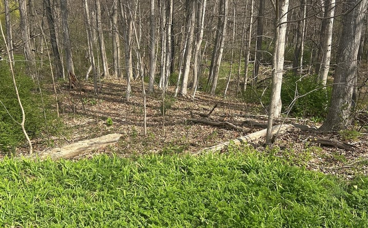 Pictures of Land, Multifamily property located at Noxon Road, Lagrangeville, NY 12540 for sales - image #1
