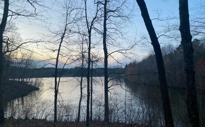 Pictures of Land property located at 920 Strike King Dr (Lot 164) Drive, Cedar Grove, TN 38321 for sales - image #1