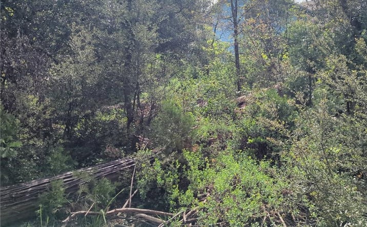 Pictures of Land property located at 53309 Road 432, Bass Lake, CA 93604 for sales - image #1
