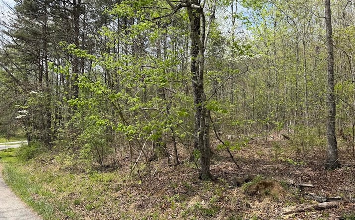 Pictures of Land property located at 0 Myers Hill Rd Lot 1, Tracy City, TN 37387 for sales - image #1