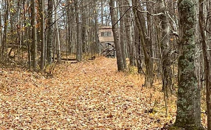 Pictures of Land property located at 000 Crawford Road, Crawford, WV 26343 for sales - image #1