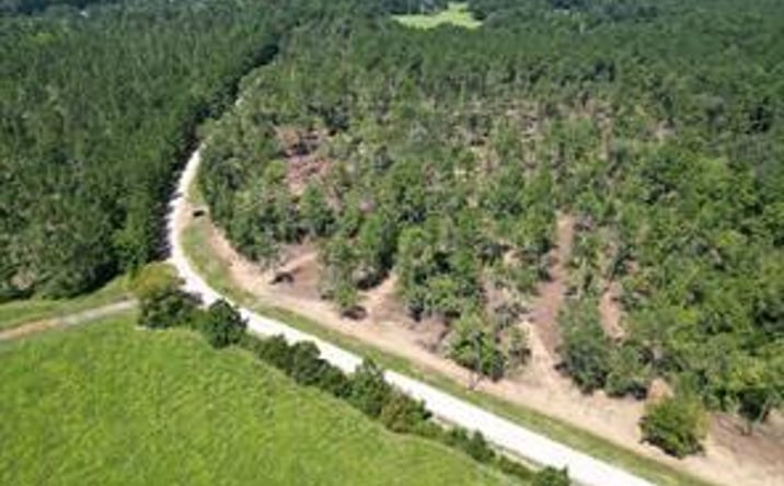 Pictures of Land property located at TBD Vick Spring Road, New Waverly, TX 77358 for sales - image #1