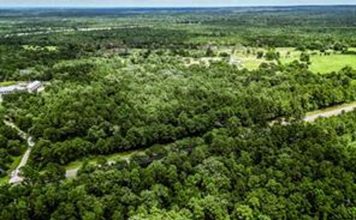 Pictures of Land property located at TBD State Highway 75 N, Huntsville, TX 77320 for sales - image #1