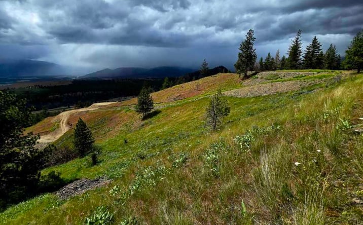 Pictures of Land property located at Lot 5 Diamond S Ranch, Plains, MT 59859 for sales - image #1