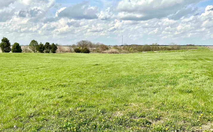 Pictures of Land, Special Purpose property located at N F Street, Albia, IA 52531 for sales - image #1