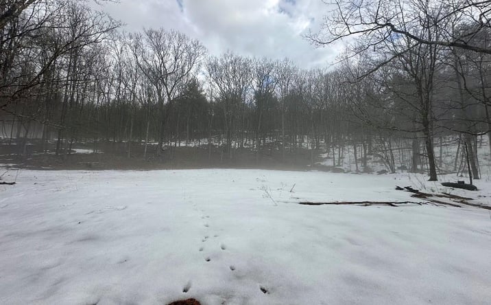 Pictures of Land property located at 804 Hearts Content Road, Cairo, NY 12413 for sales - image #1
