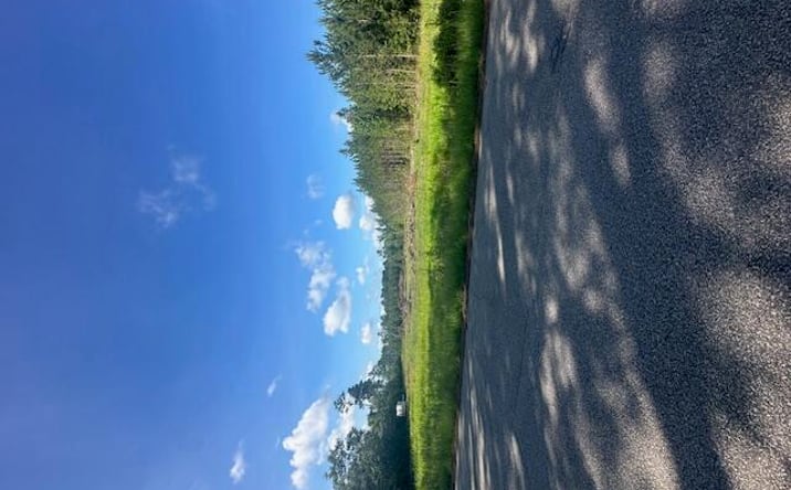 Pictures of Land, Multifamily property located at 4 Rudd Road, Ridgeville, SC 29472 for sales - image #1