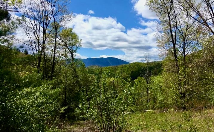 Pictures of Mixed Use, Land property located at 65 Blue Ridge Gem Mine Road, Spruce Pine, NC 28777 for sales - image #1