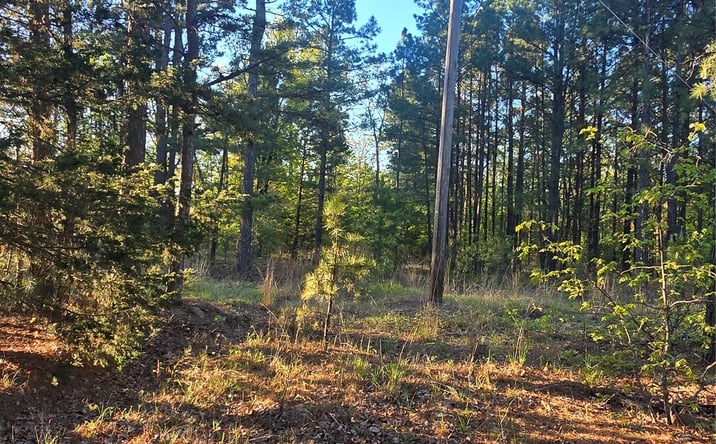 Pictures of Land property located at 77 NE Little Flat Top, Moyers, OK 74523 for sales - image #1
